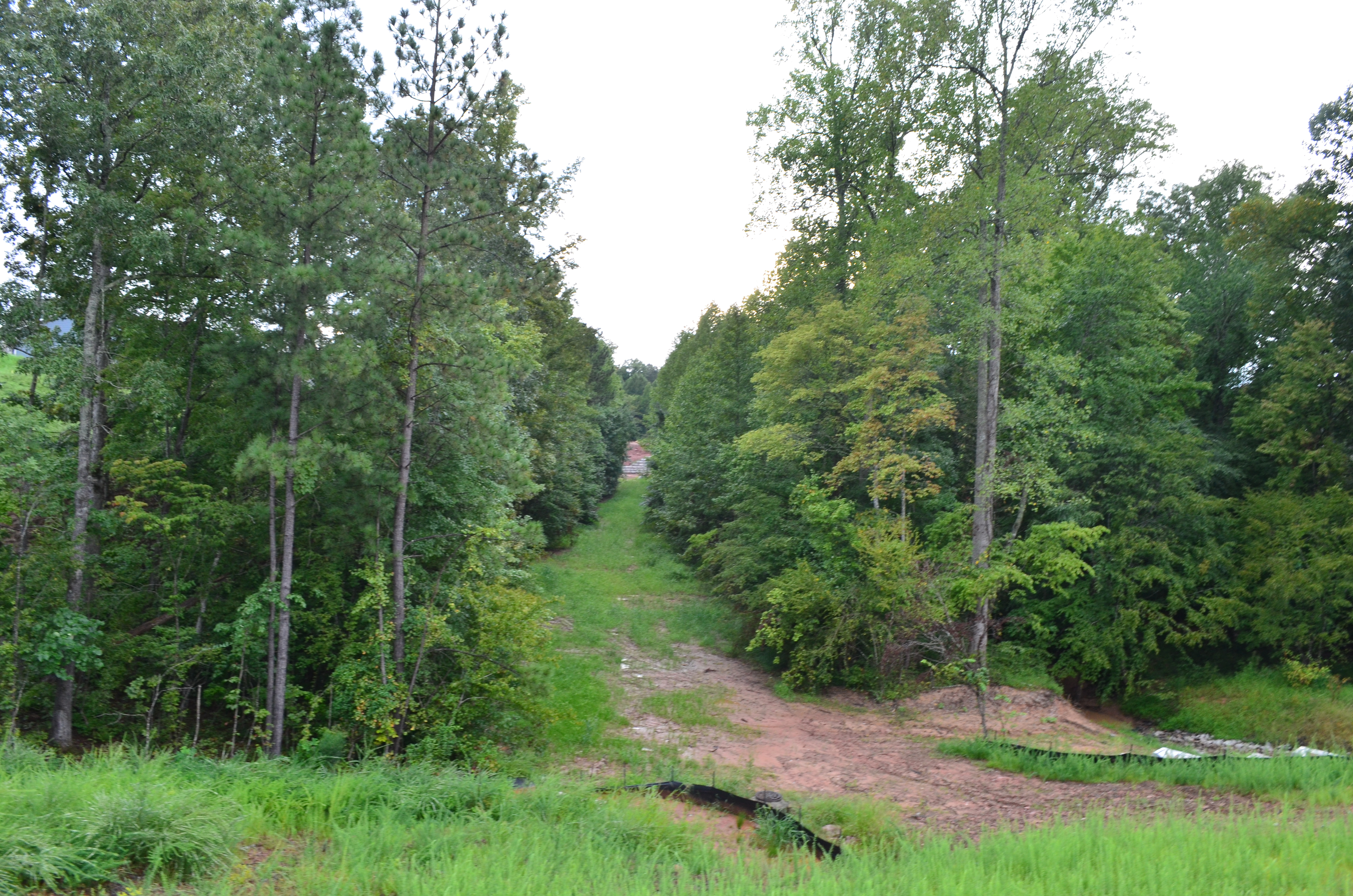 ./2019/17 - New House/BMDSC_0932.JPG